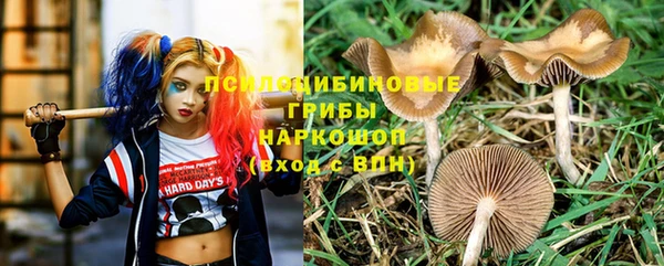ПСИЛОЦИБИНОВЫЕ ГРИБЫ Краснотурьинск