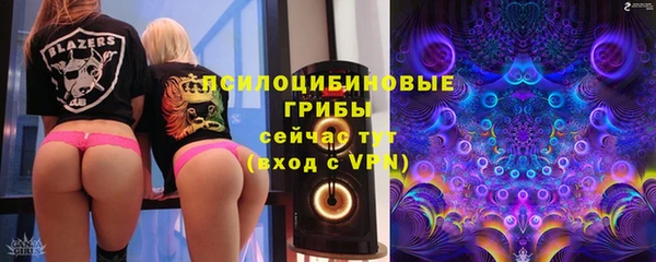 spice Корсаков