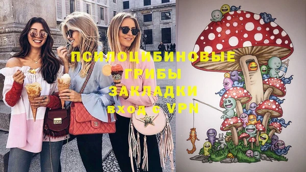 spice Корсаков