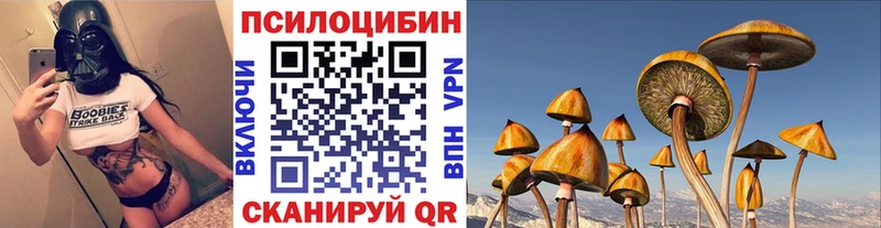 Псилоцибиновые грибы ЛСД  площадка официальный сайт  Ужур  даркнет сайт 